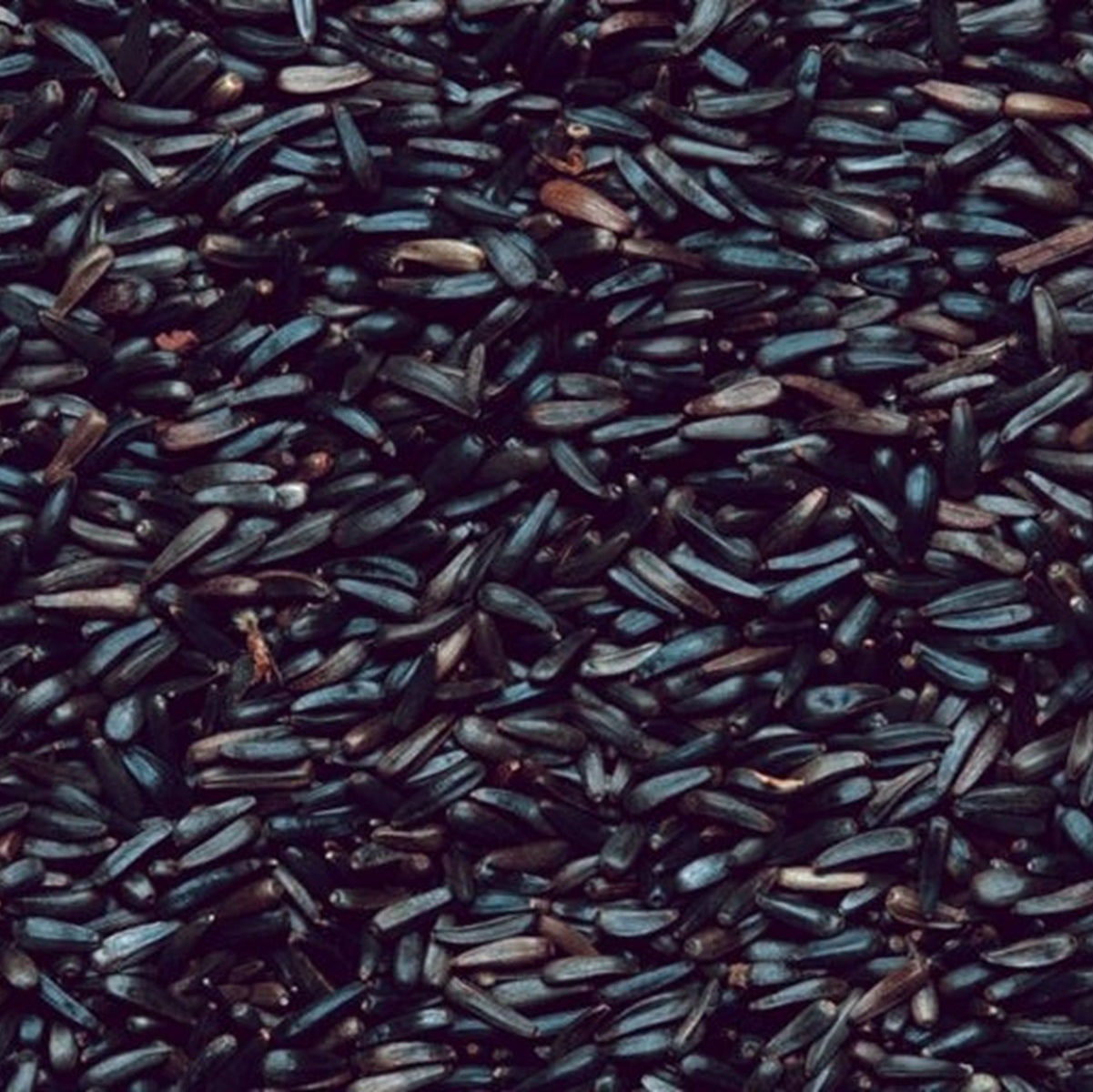 Henry Bell - Nyger Seed (1.8kg)