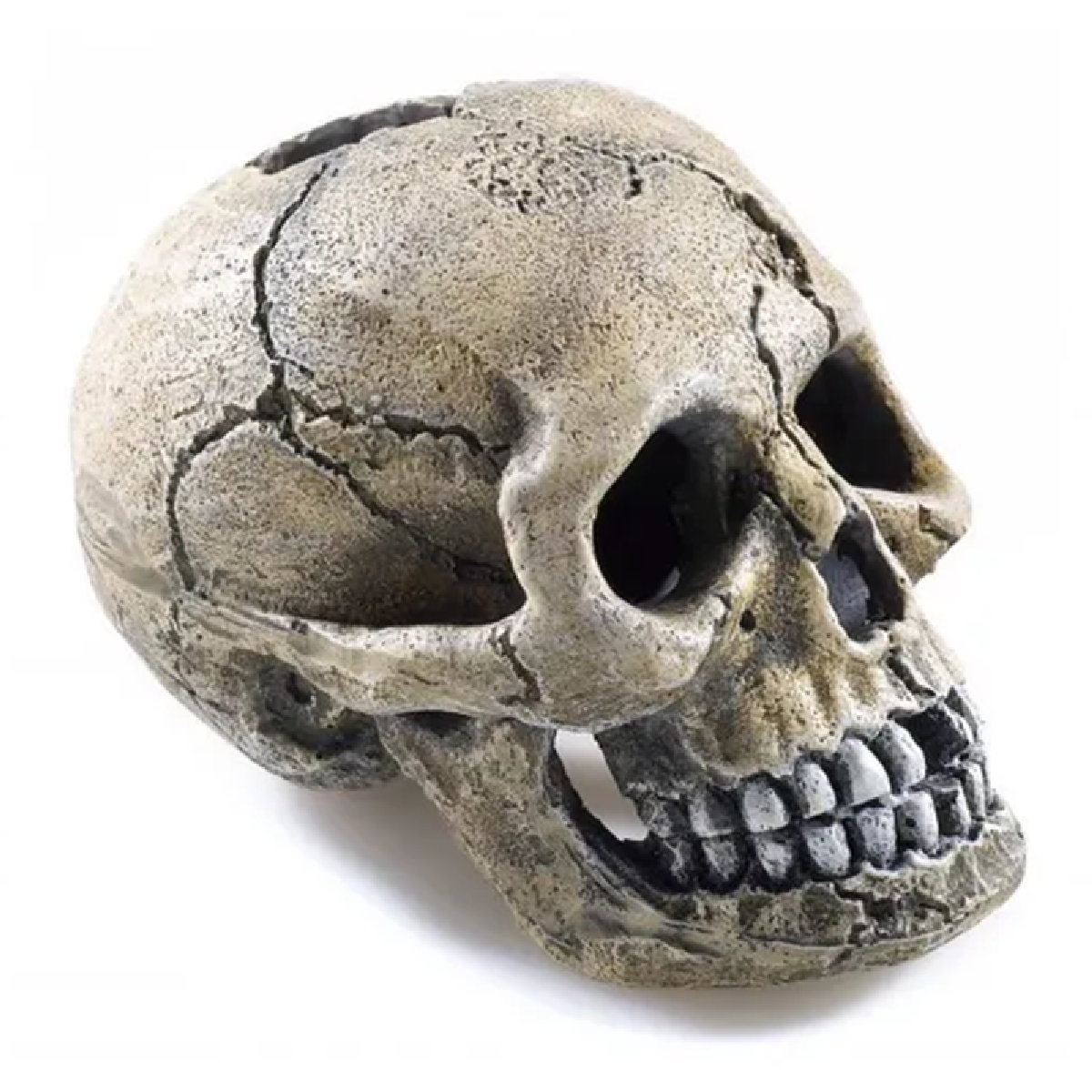 Classic - Spooky Skull (8.5cm)