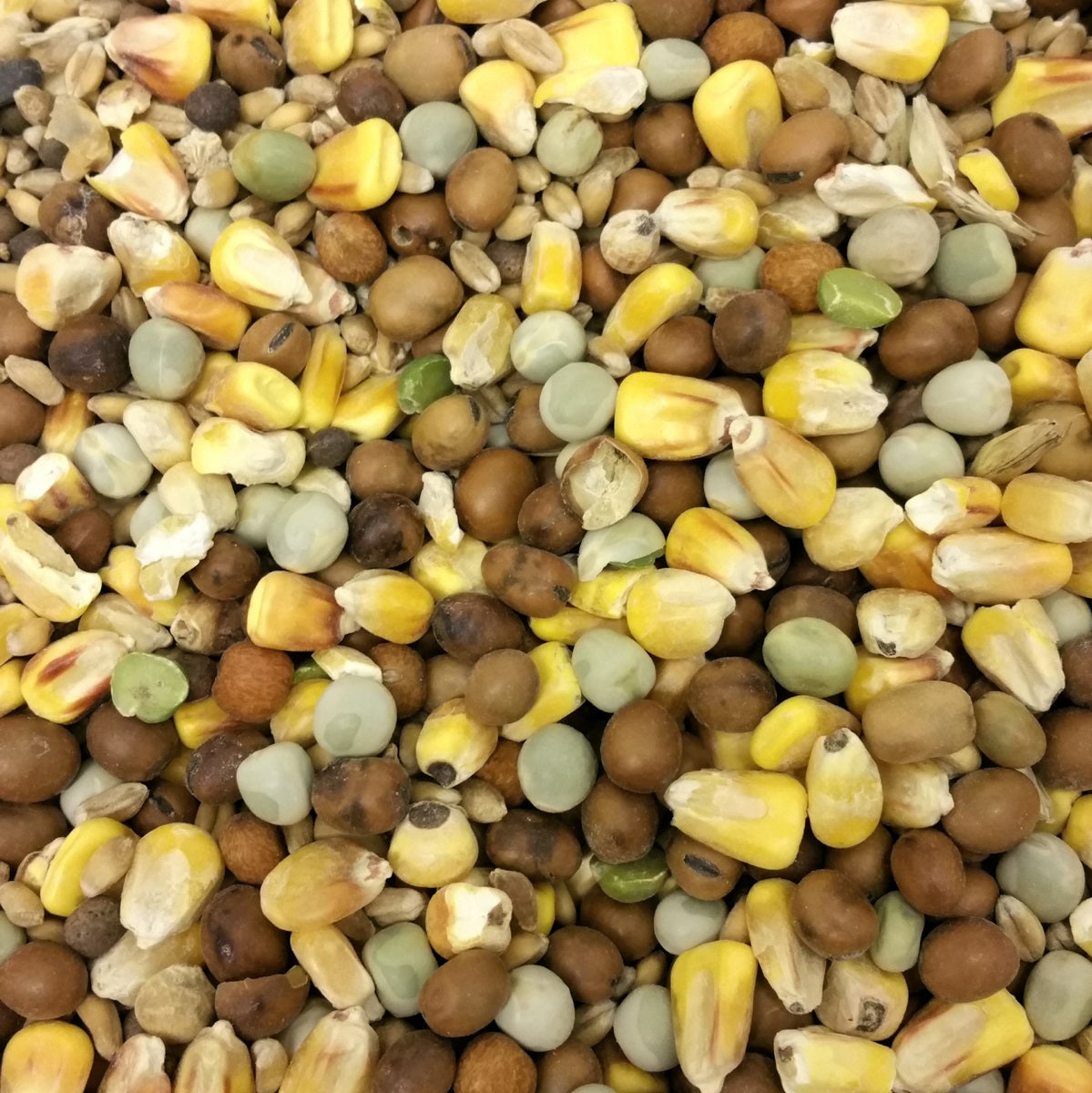 Pigeon Mix