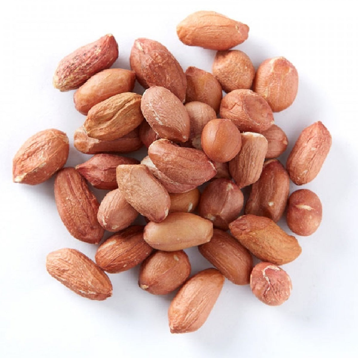Supa - Easy Fill Peanut Feeder