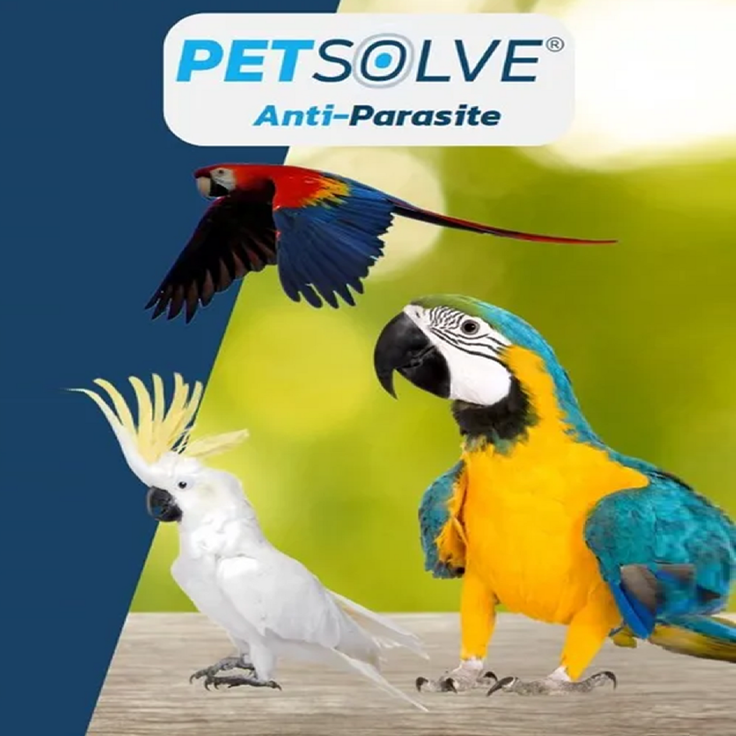 PETSOLVE - Anti-Parasite Large Birds (5ml)