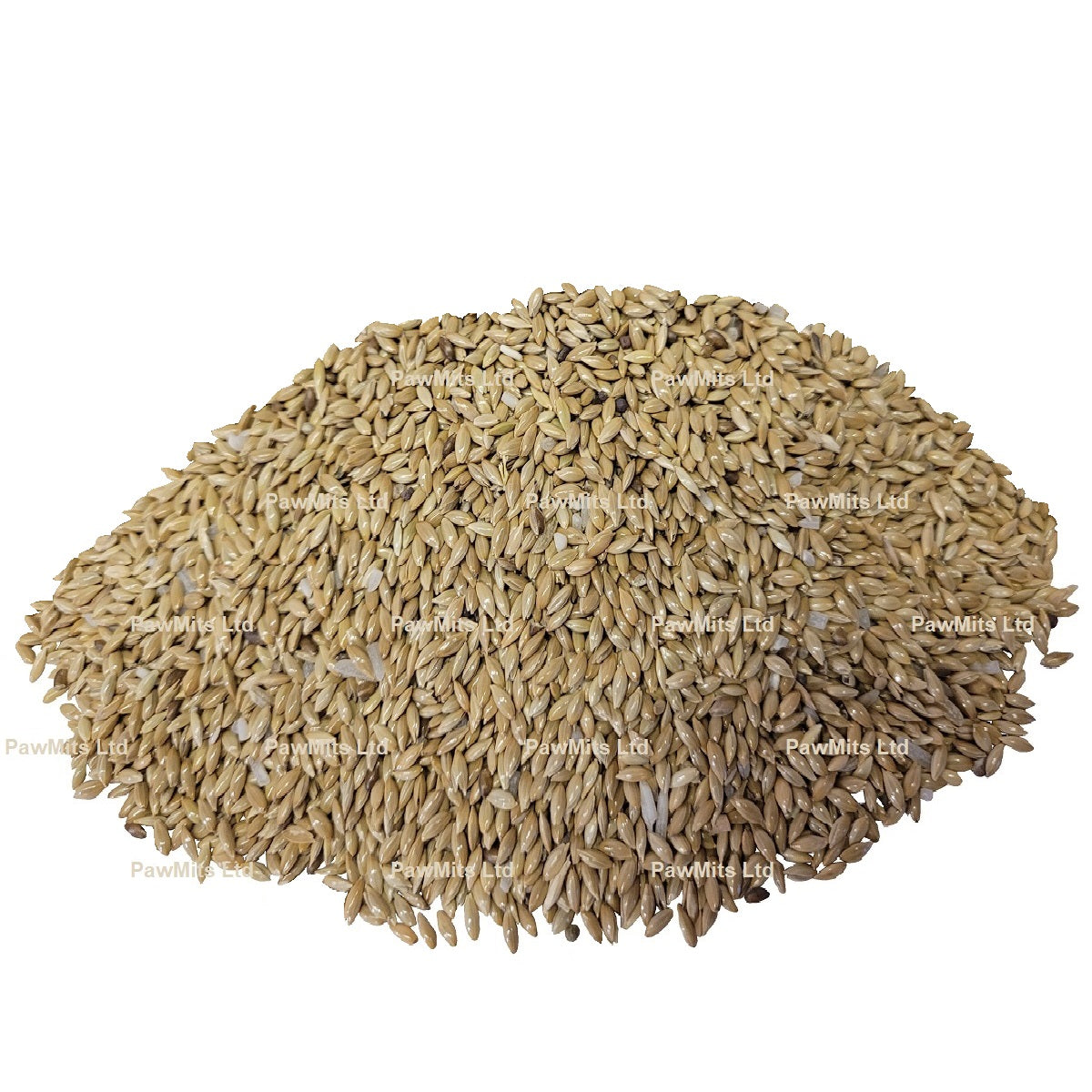 Bucktons - Plain Canary Seed (20kg)