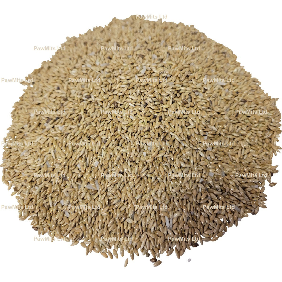 Bucktons - Plain Canary Seed (20kg)
