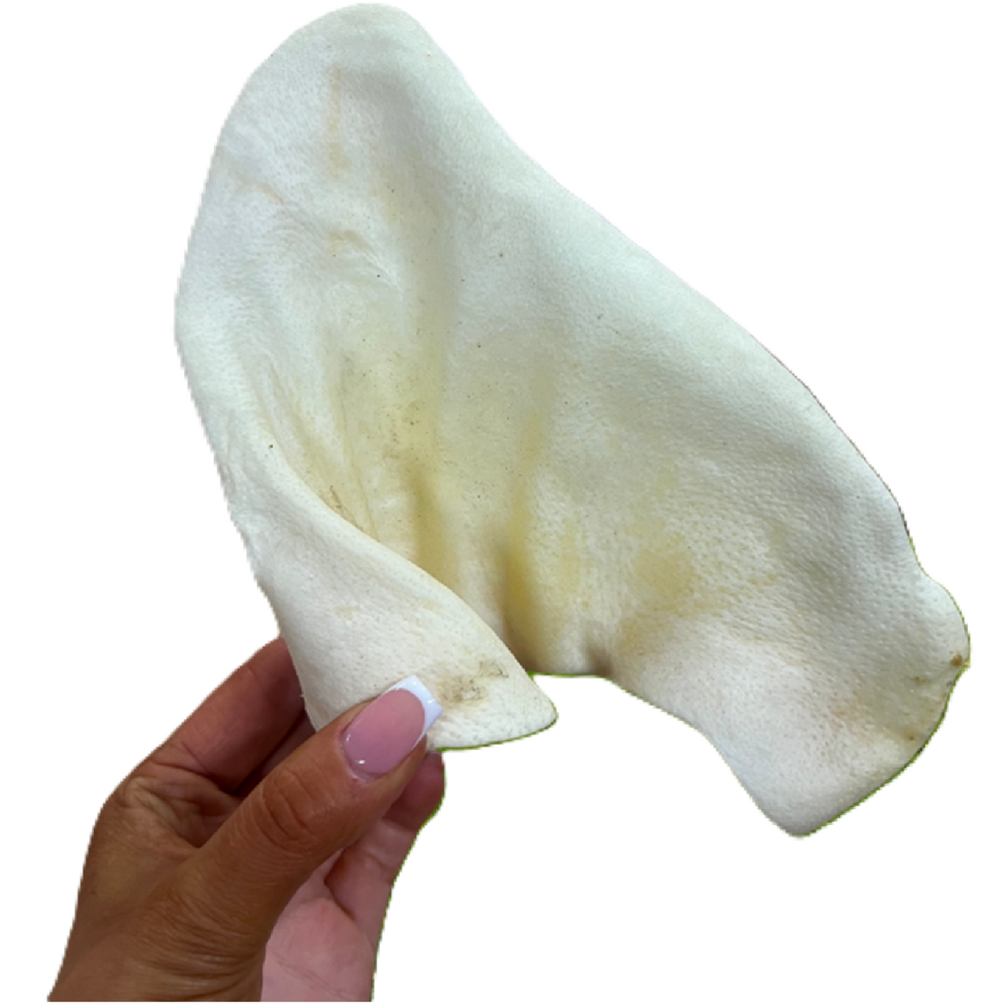 Paddock Farm - White Puffed Pig Ears (50pk)