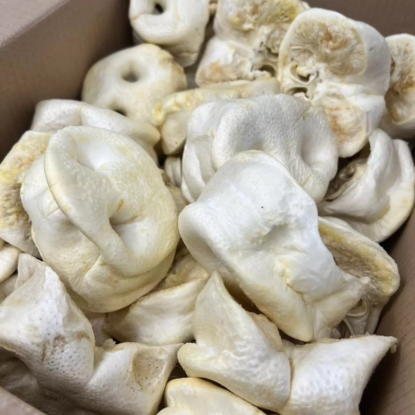 Paddock Farm - Puffed Pig Snouts