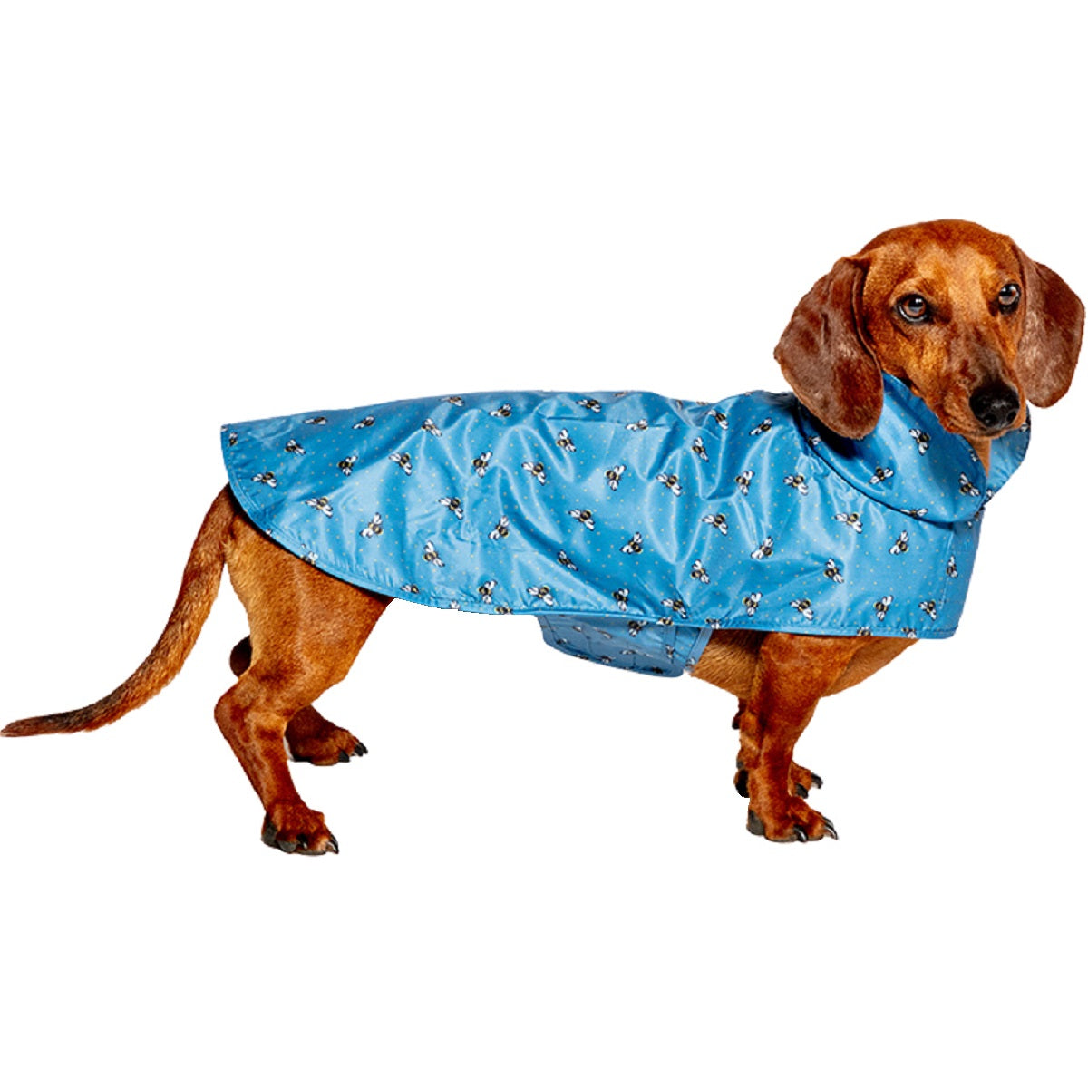 FATFACE - Spotty Bees Raincoat
