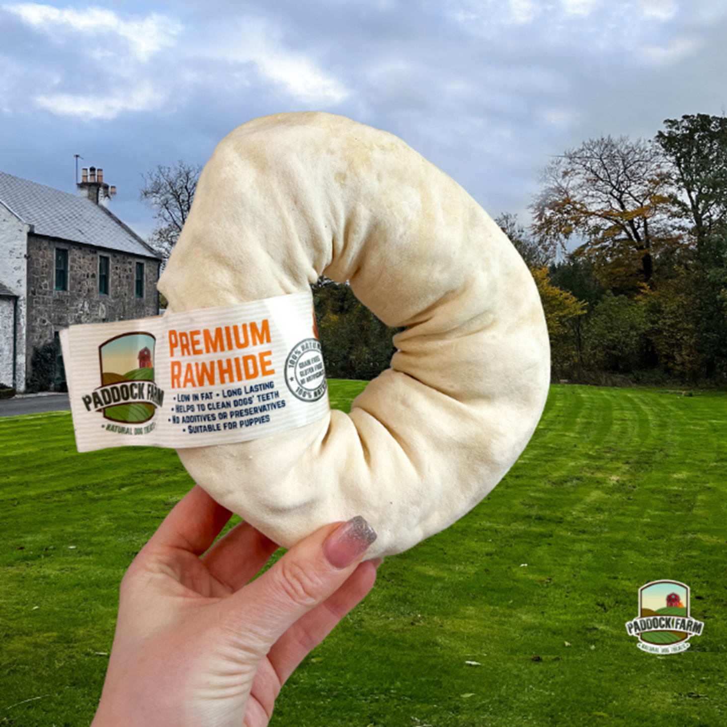 Paddock Farm - Hide Rings (6-7")