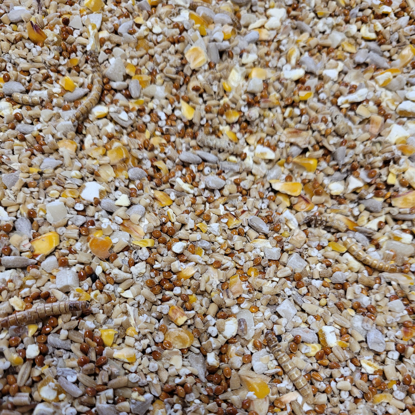 BestPets - Robin & Songbird Food (15kg)