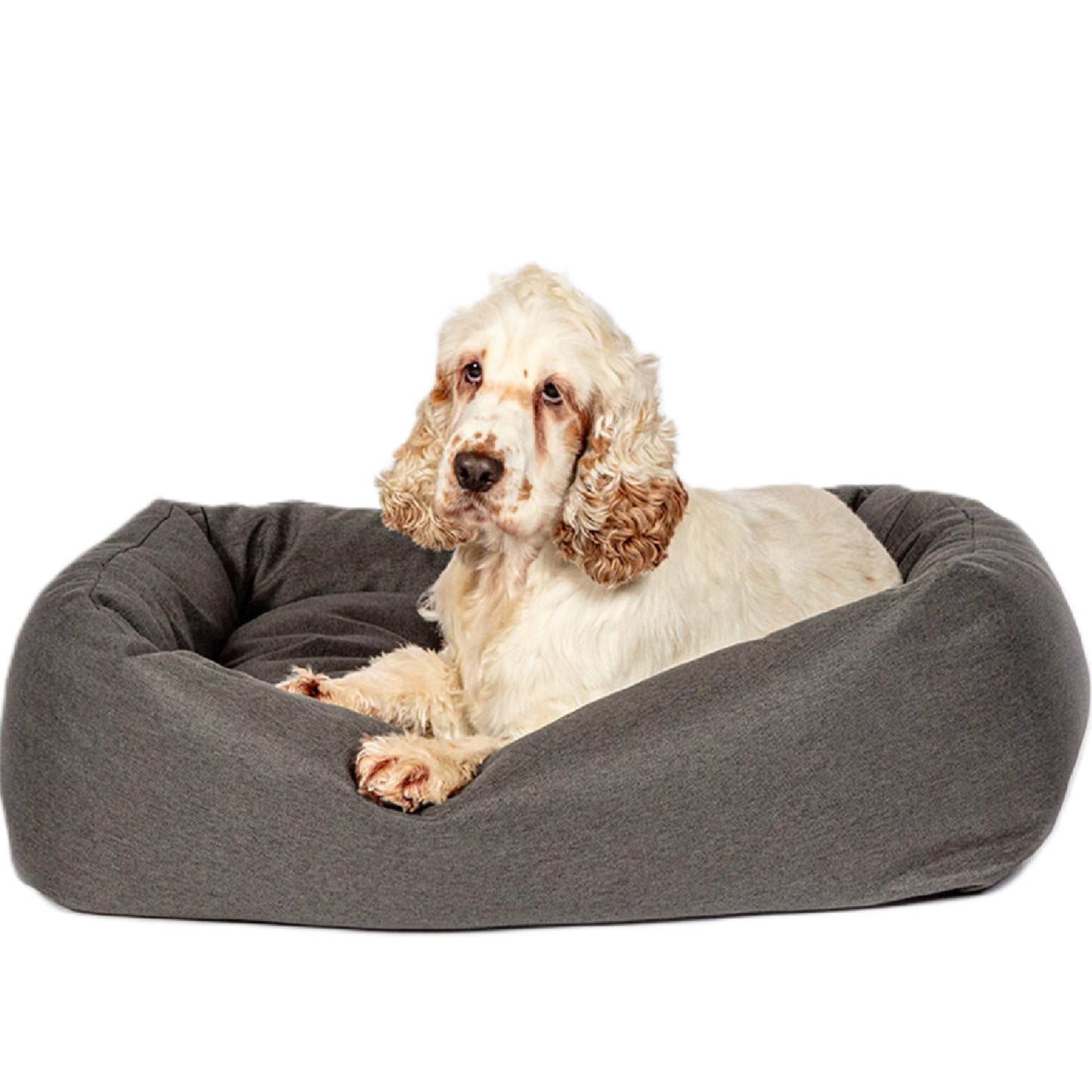 Danish Design - Anti-Bacterial Snuggle Bed