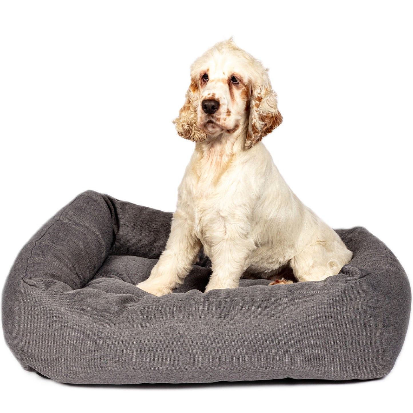 Danish Design - Anti-Bacterial Snuggle Bed