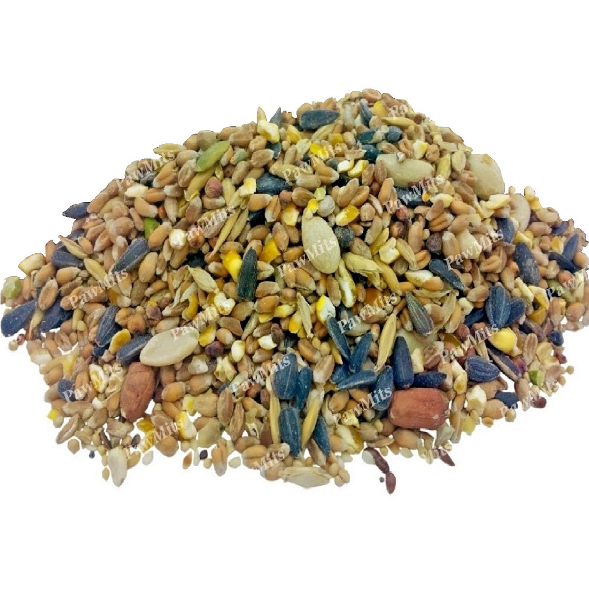 Supa - Squirrel Proof Seed Feeder