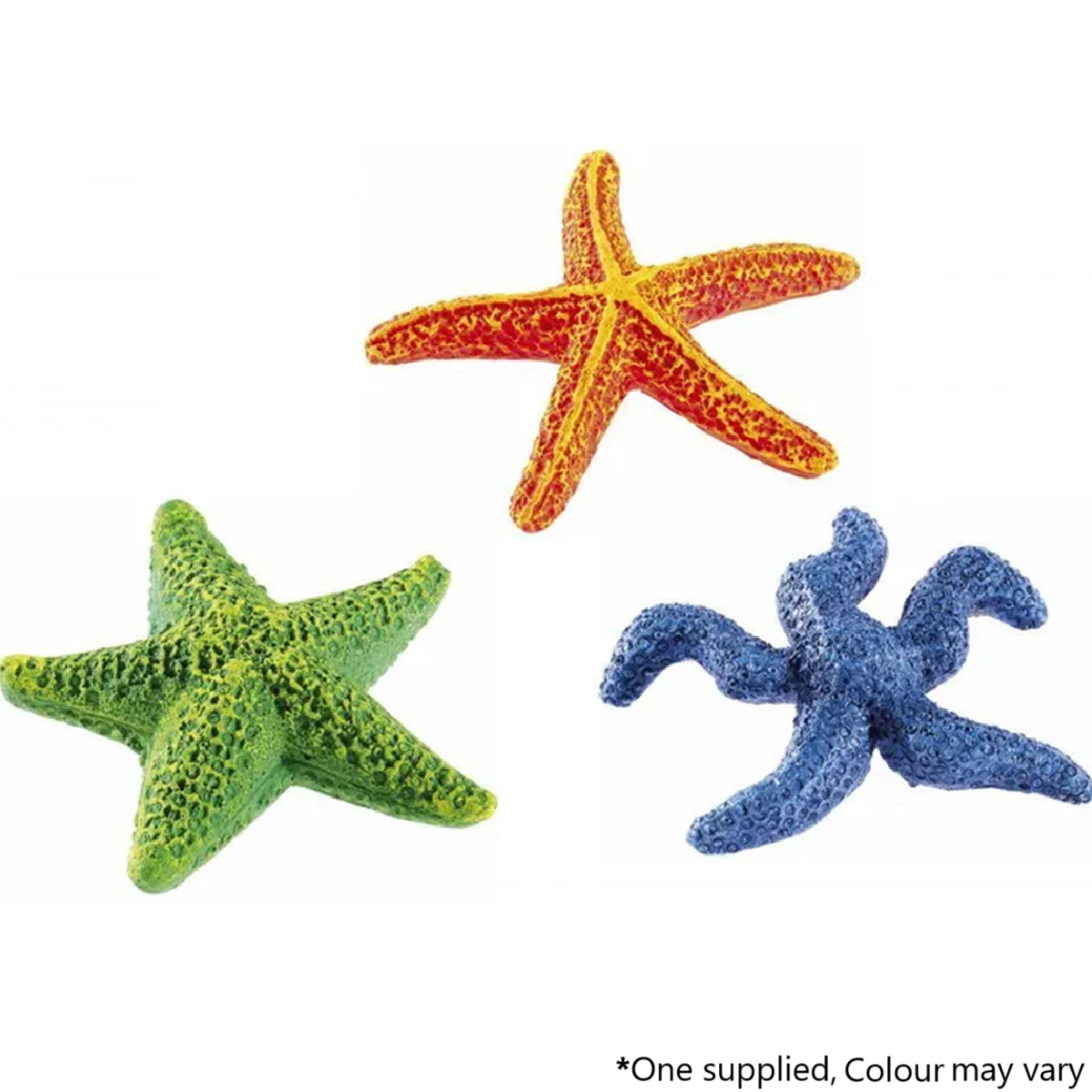Classic - Star Fish (9.5cm)