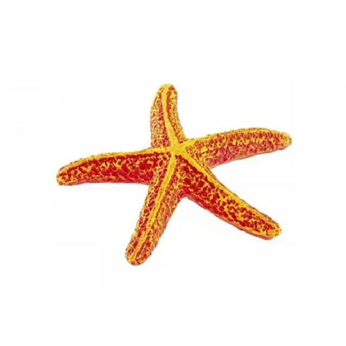 Classic - Star Fish (9.5cm)