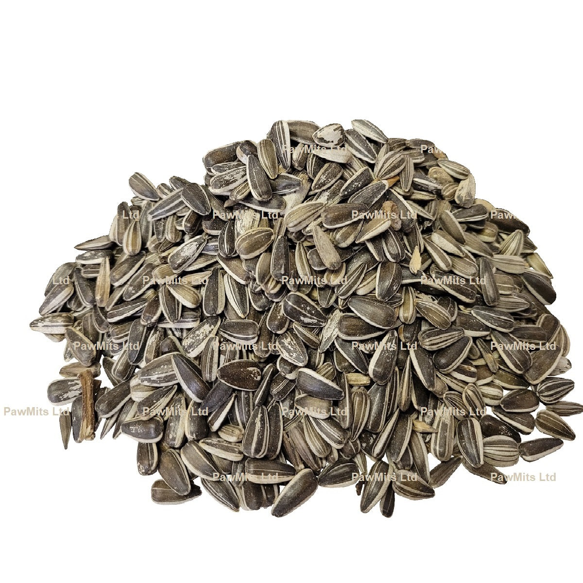 BestPets - Striped Sunflower