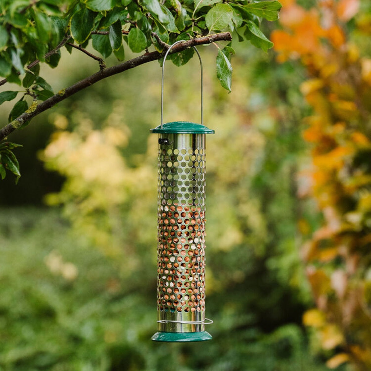 Peckish - Suet & Peanut Feeder