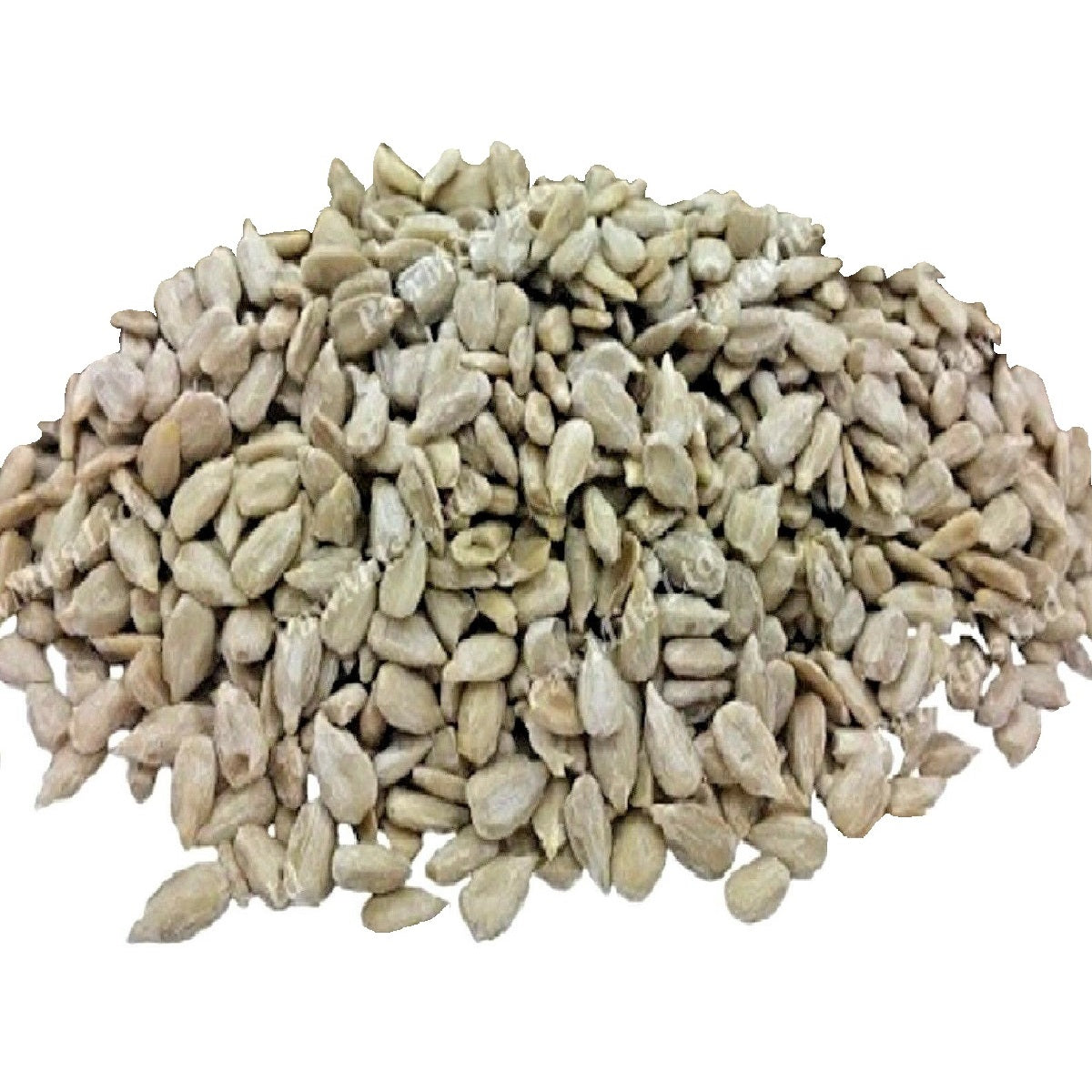 Supa - Squirrel Proof Seed Feeder