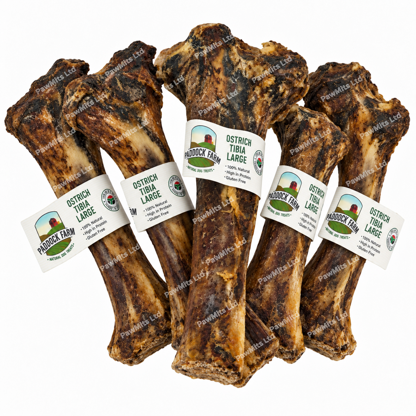 Paddock Farm - Ostrich Large Tibia Bone