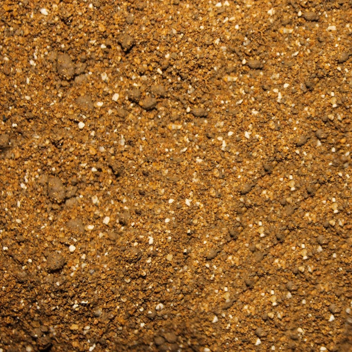 Pettex - Tortoise Reptile Substrate (10L)