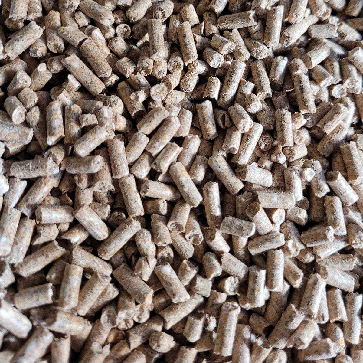 Argo - Layers Pellets