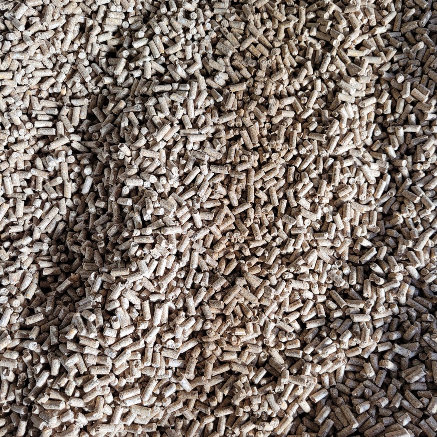 Layers Pellets