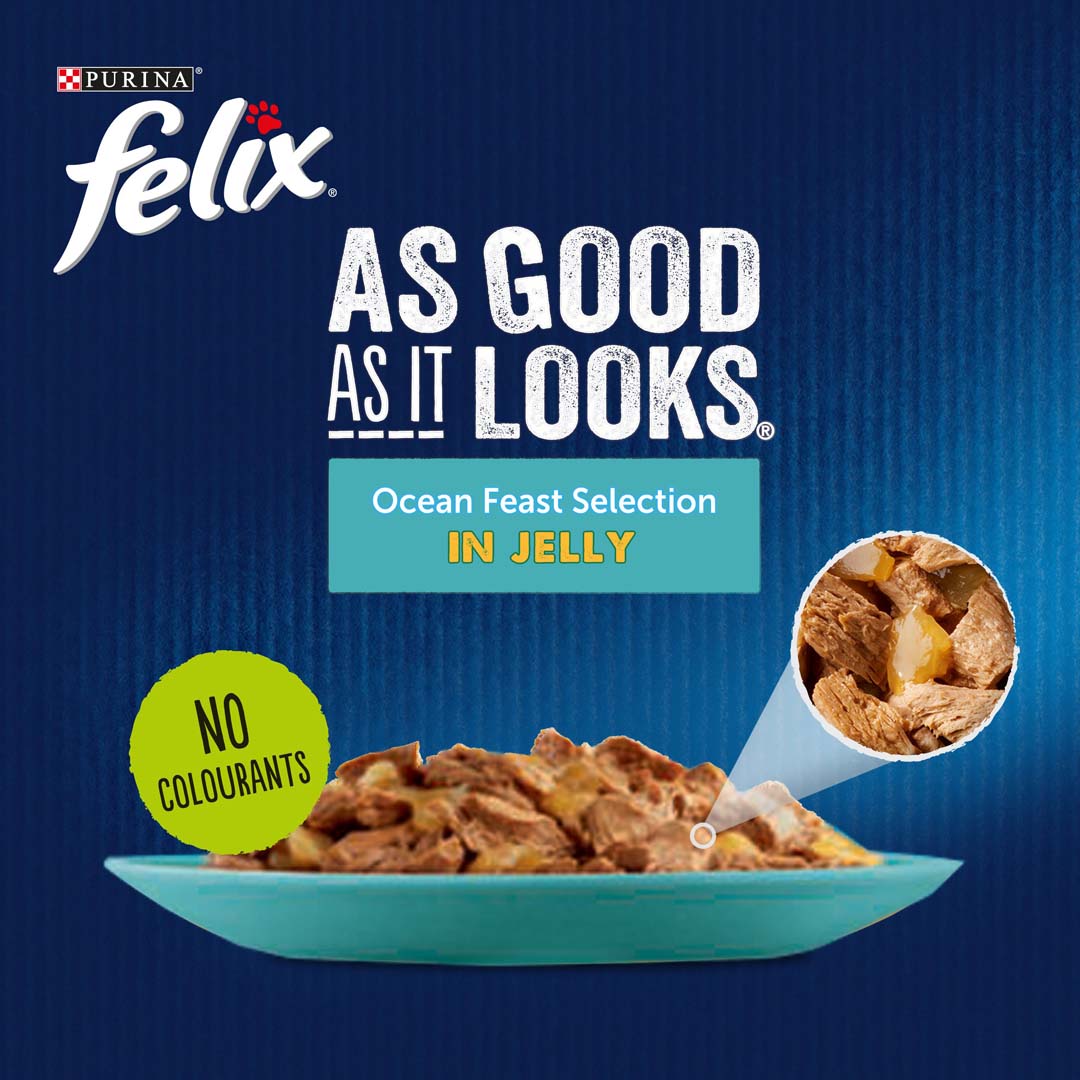Felix As Good As It Looks - Ocean Feast Selection