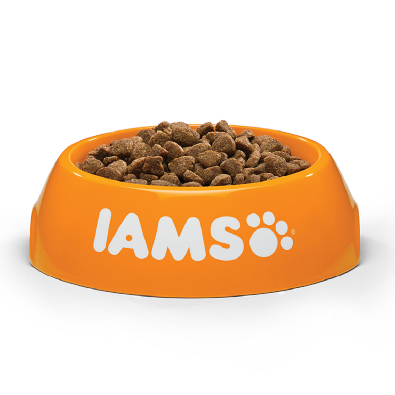 Iams - Adult Cat Lamb (2kg)