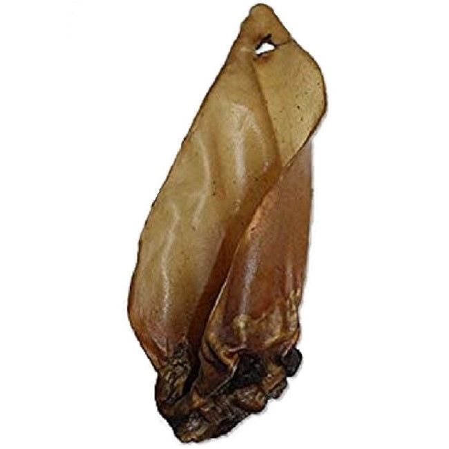 Buffalo - Ears