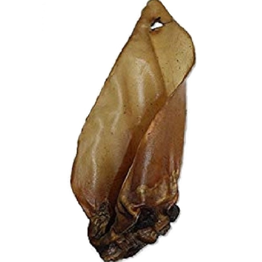 Buffalo - Ears