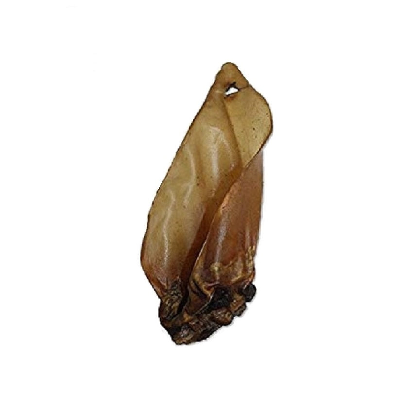 Buffalo - Ears