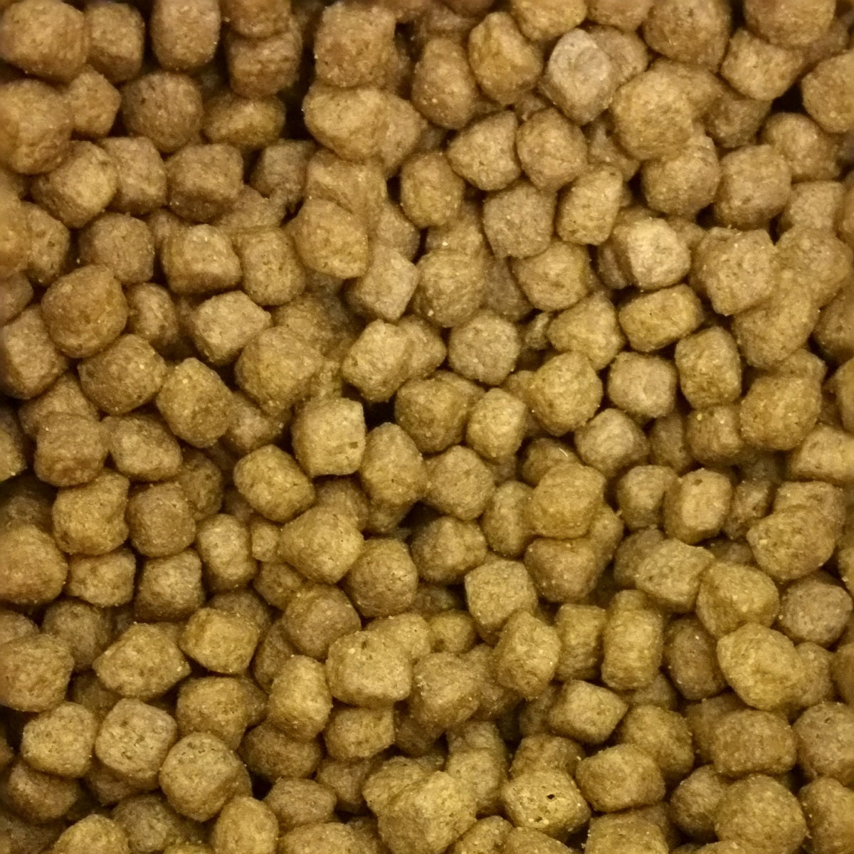 Burgess - Supadog Puppy Complete (12.5kg)