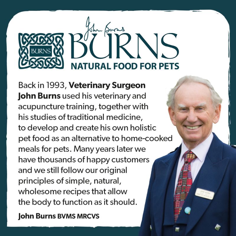 Burns - Pork Bites (200g)