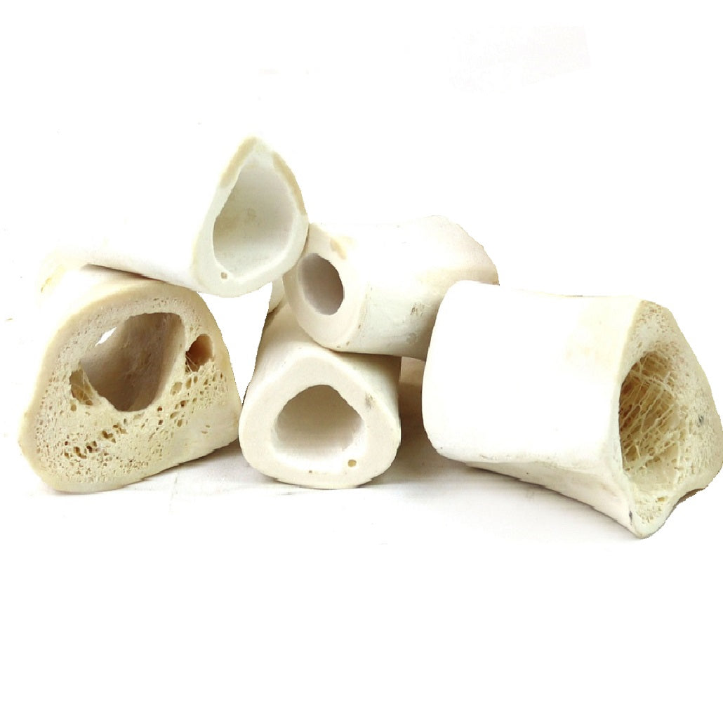 T.Forrest - Calcium Bones