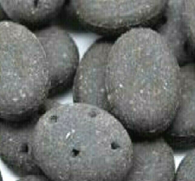 Pointer - Charcoal Cobs