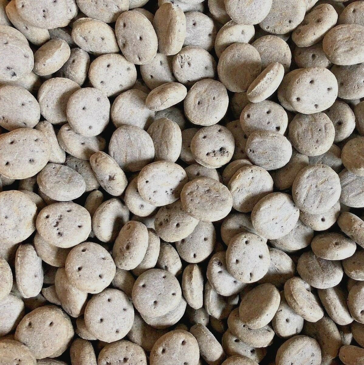 Pointer - Charcoal Cobs