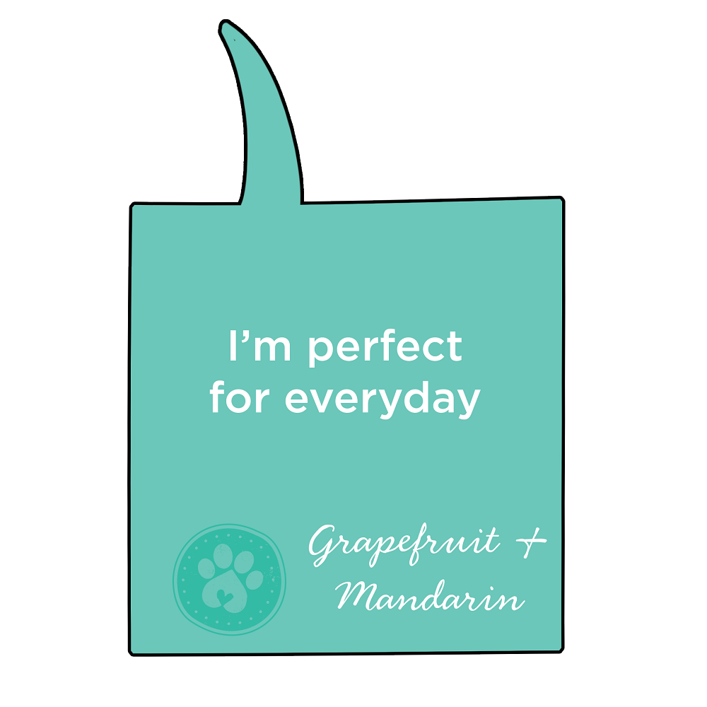 DogKind Shampoo - Everyday 2 in 1