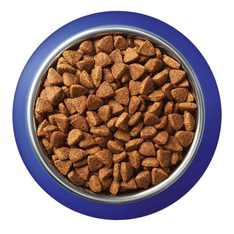Purina - One Coat & Hair (2.8kg)