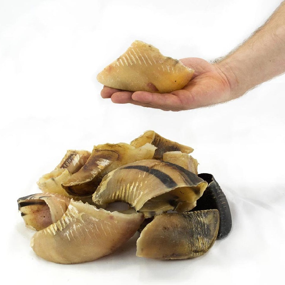 T.Forrest - Hollow Hooves (20pk)