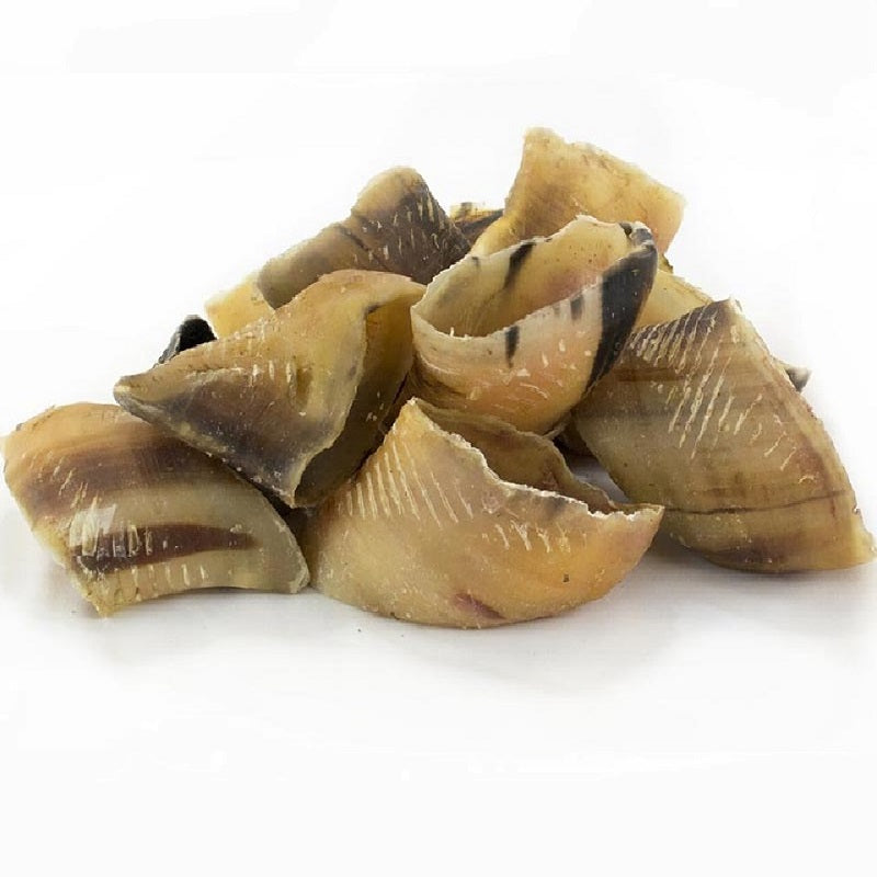T.Forrest - Hollow Hooves (20pk)