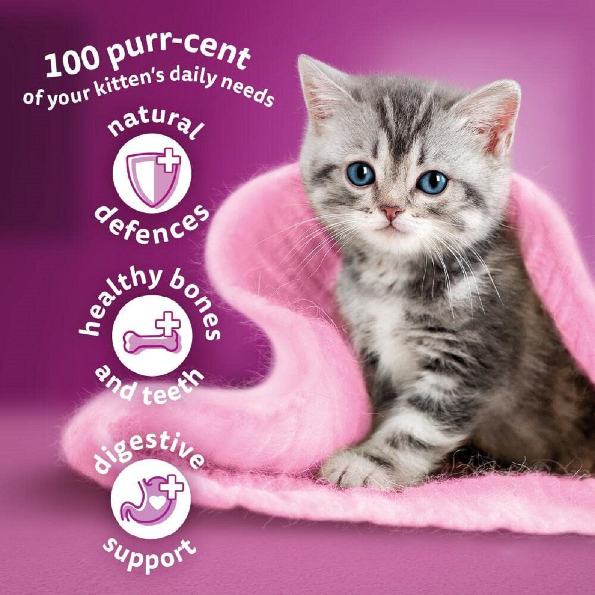 Whiskas - Kitten