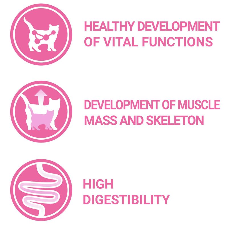 Purina - One Kitten (2.8kg)