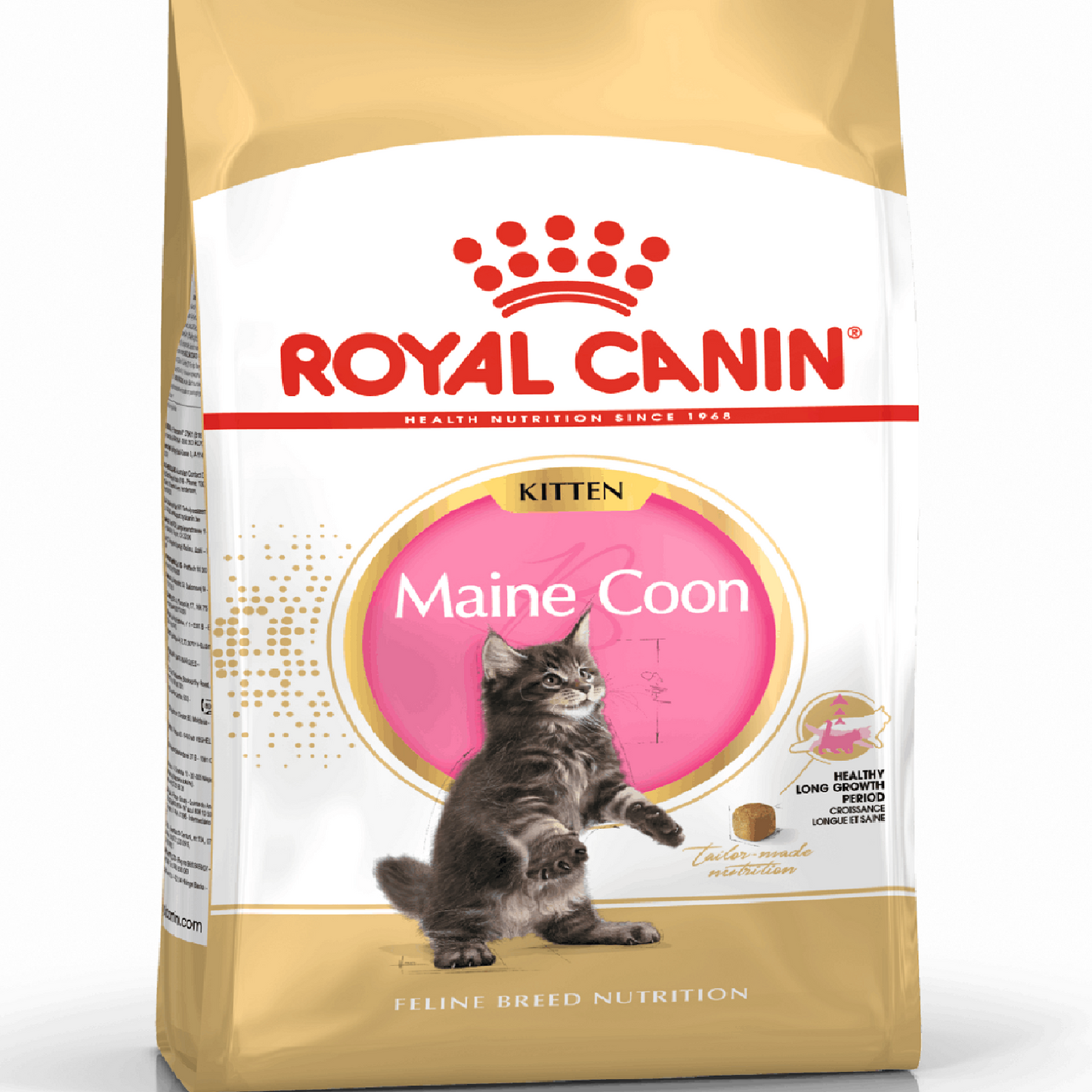 ROYAL CANIN - Maine Coon Kitten