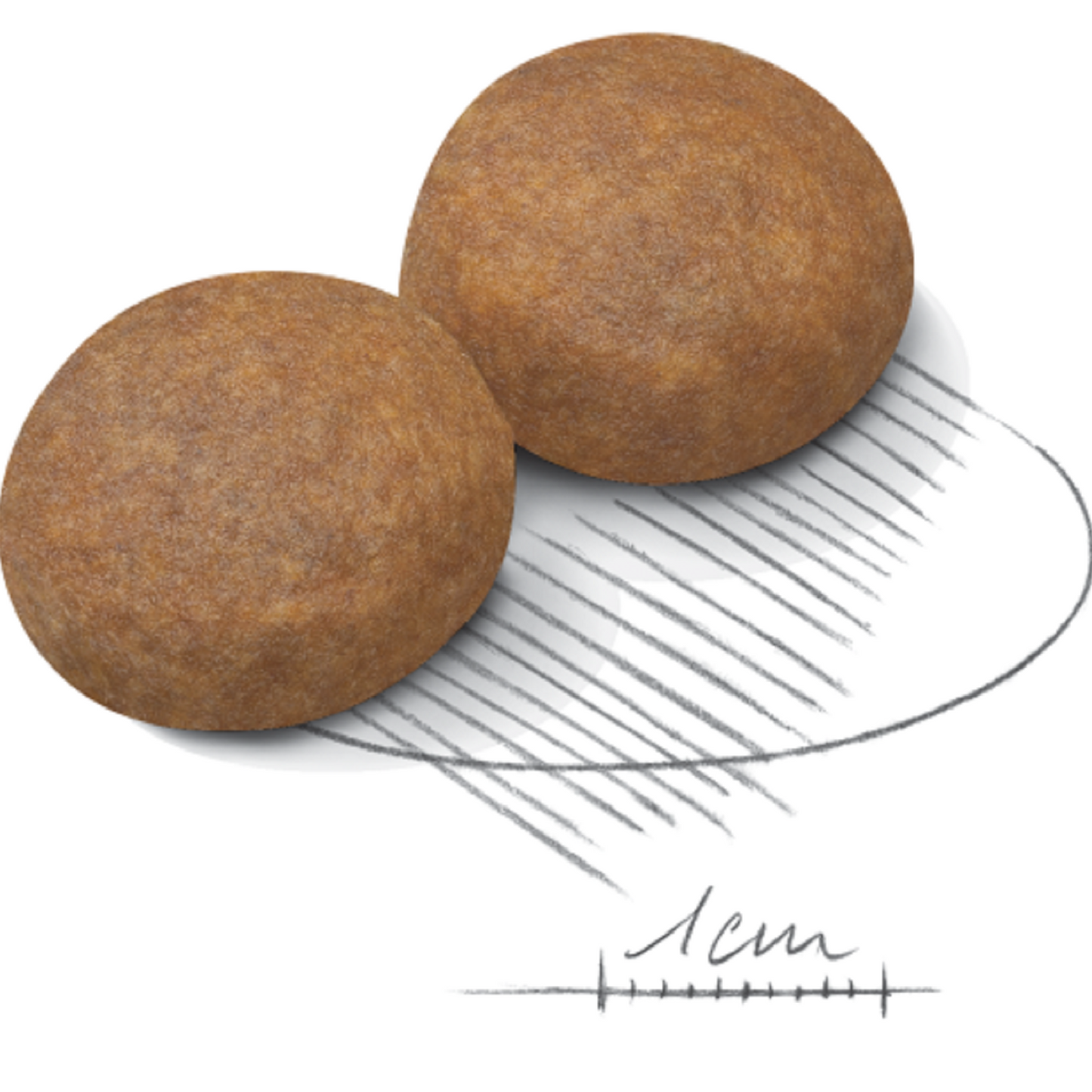 ROYAL CANIN - Maxi Adult 5+