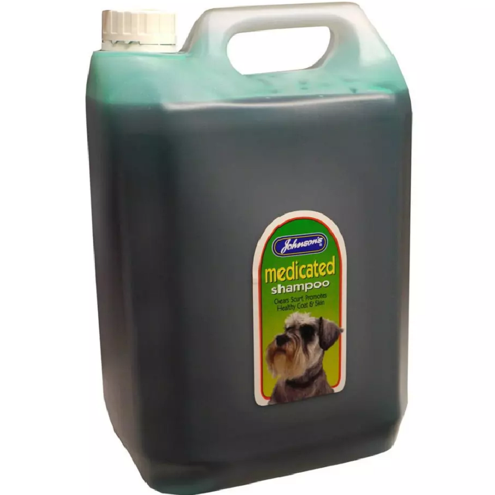 Johnsons - Medicated Shampoo