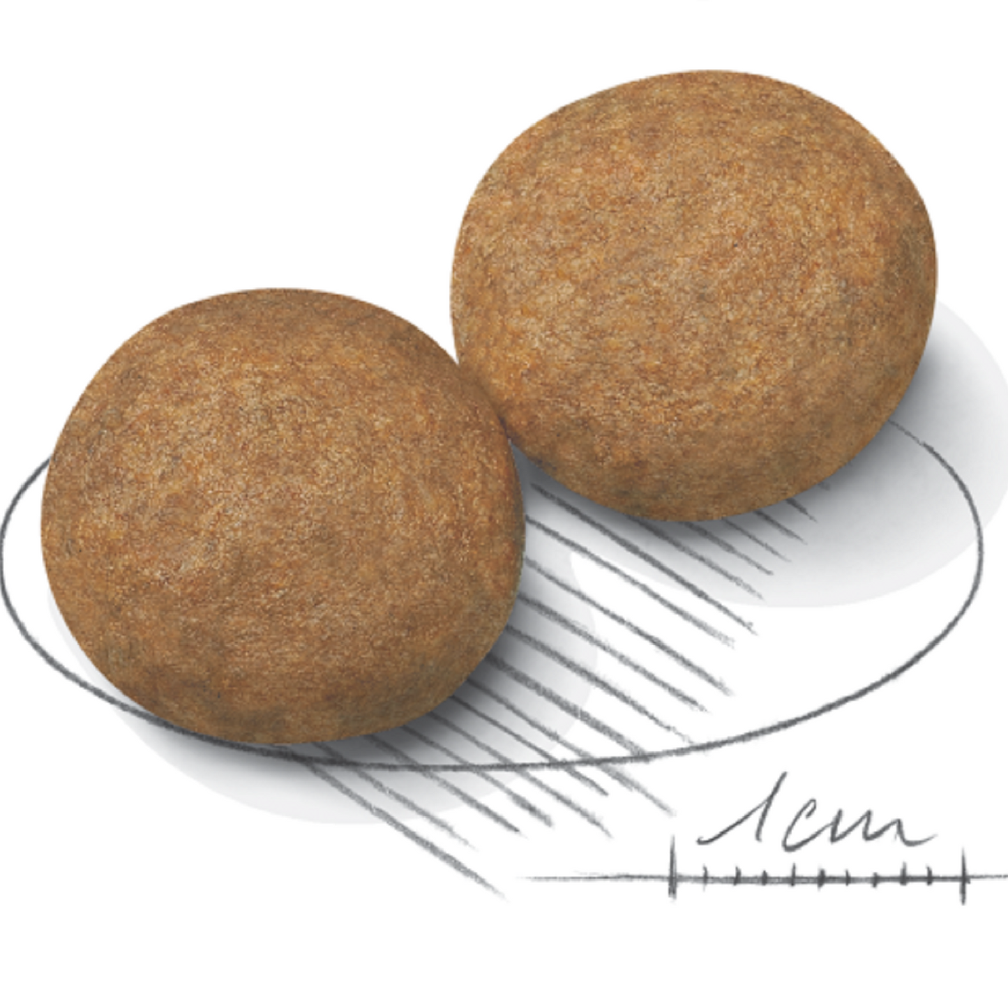 ROYAL CANIN - Medium Adult