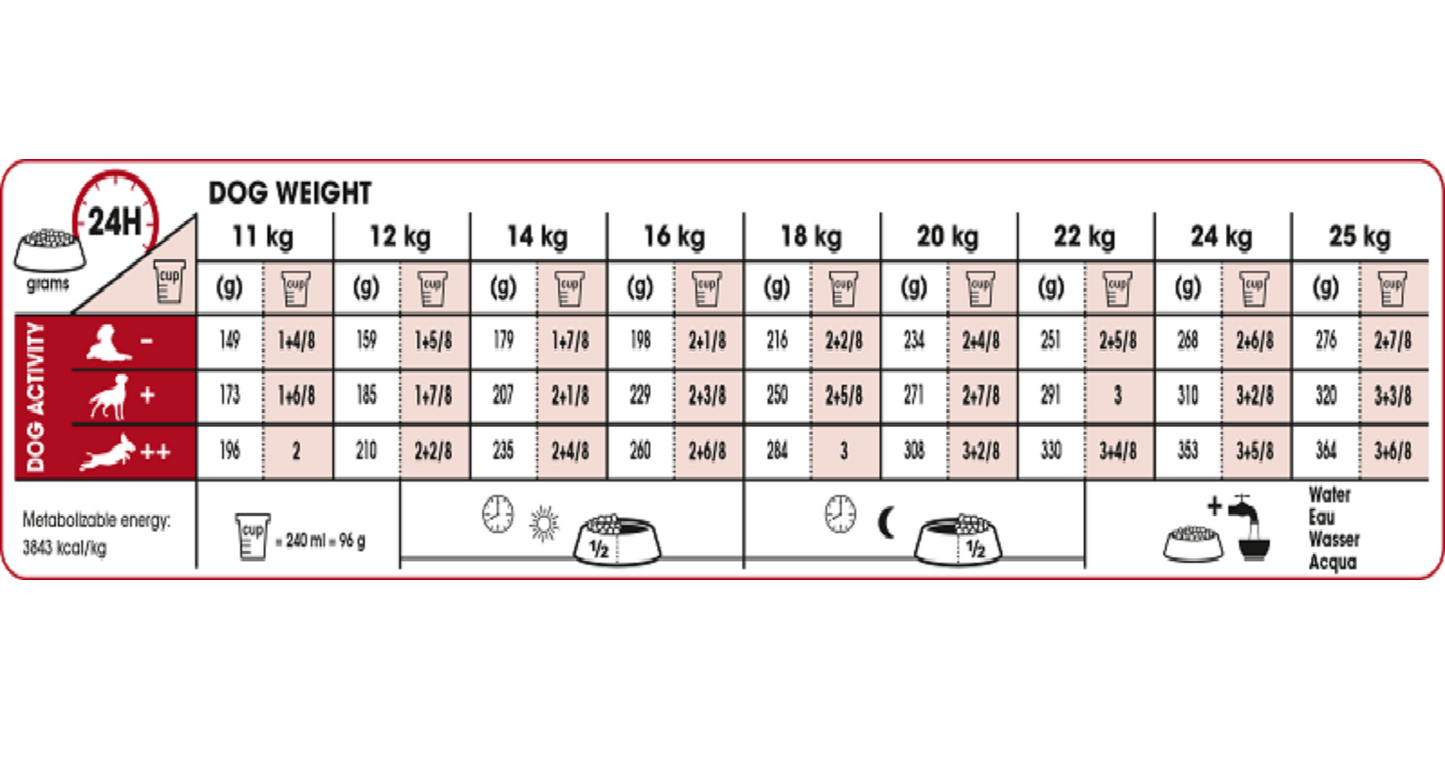 ROYAL CANIN - Medium Adult