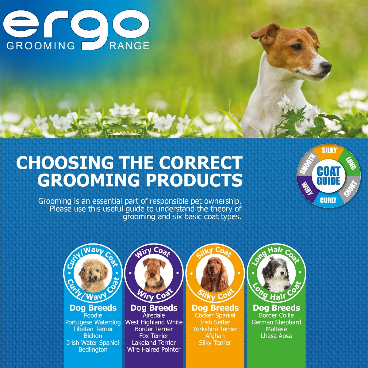 Ancol - Ergo Medium Comb