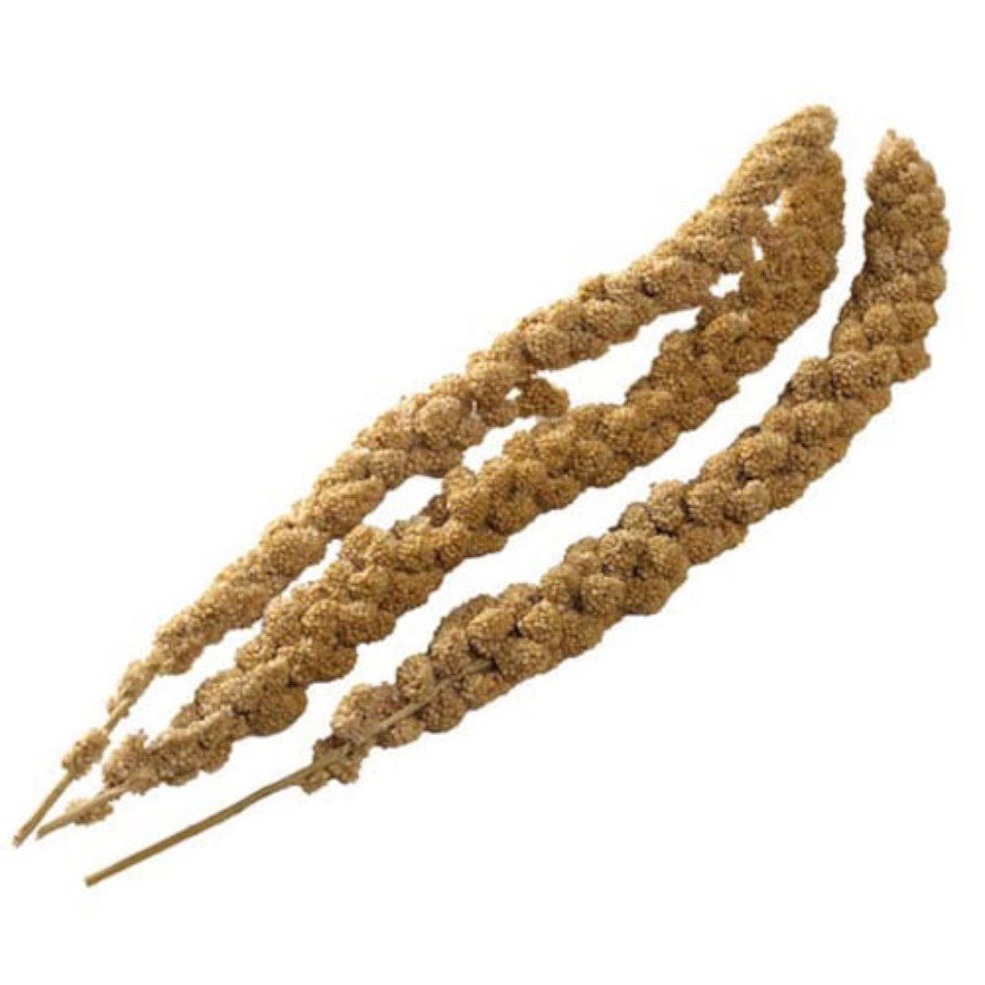 Millet Sprays (8-10" inch)