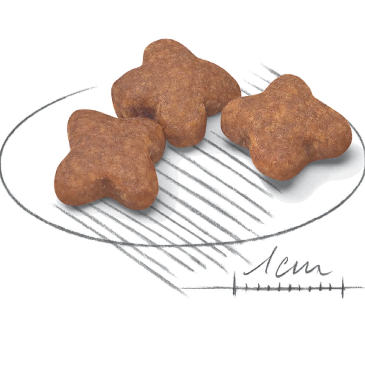 ROYAL CANIN - Mini Adult 8+