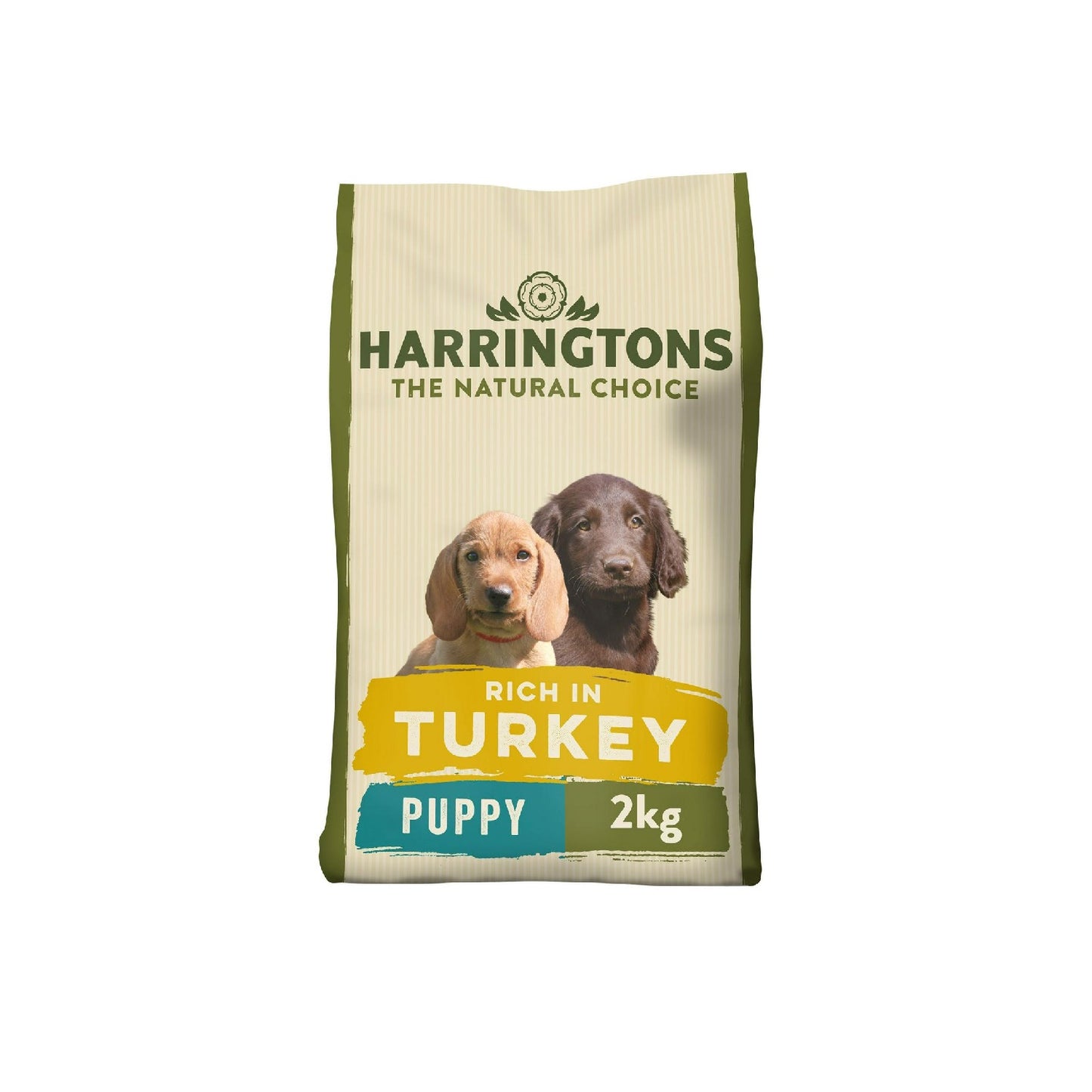 Harringtons - Puppy