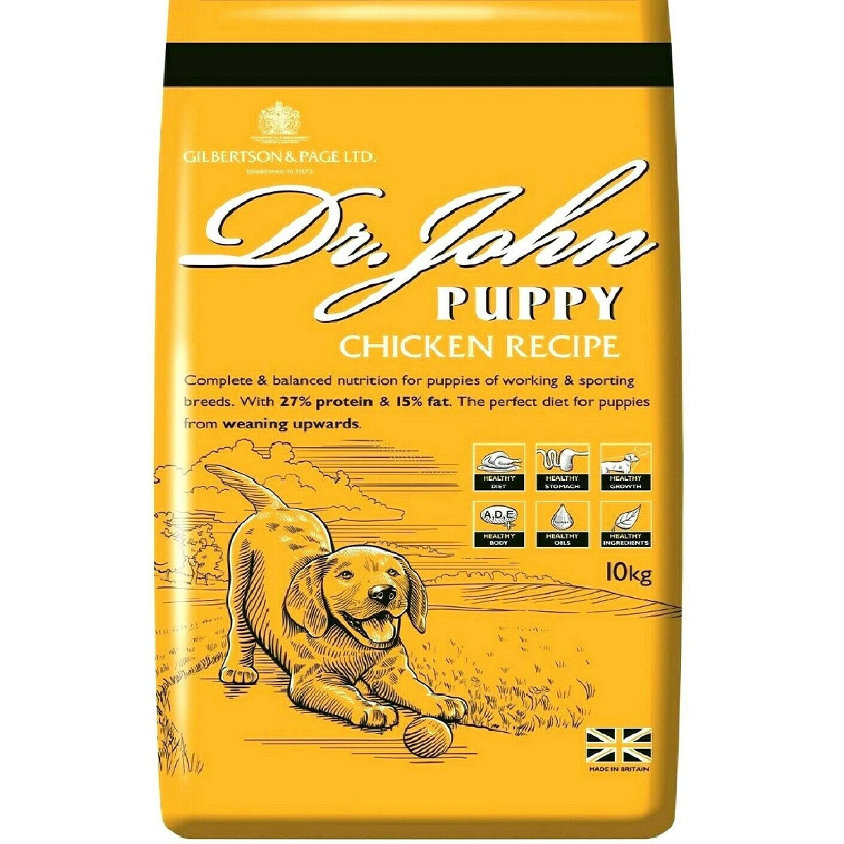 Dr John - Puppy